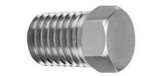 threaded-round-head-plug-socket-weld-and-threaded-pipe-fittings-manufacturers-exporters-suppliers-importers.jpg